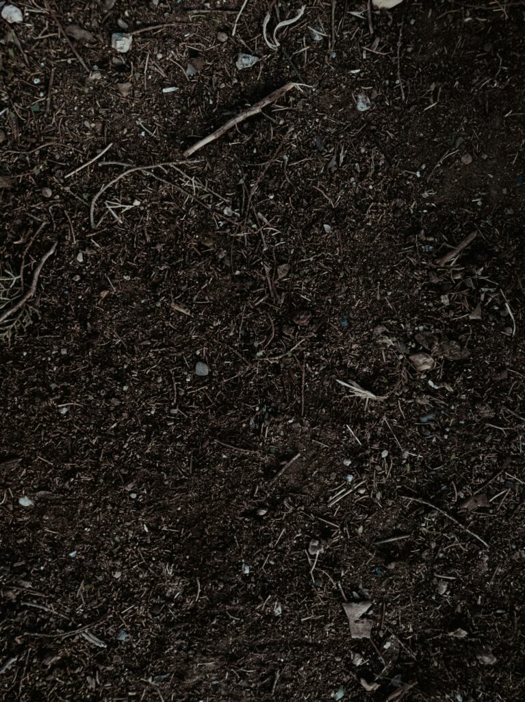 Detailed shot of fertile soil perfect for gardening and planting.
