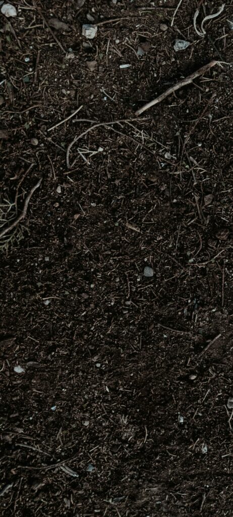 Detailed shot of fertile soil perfect for gardening and planting.